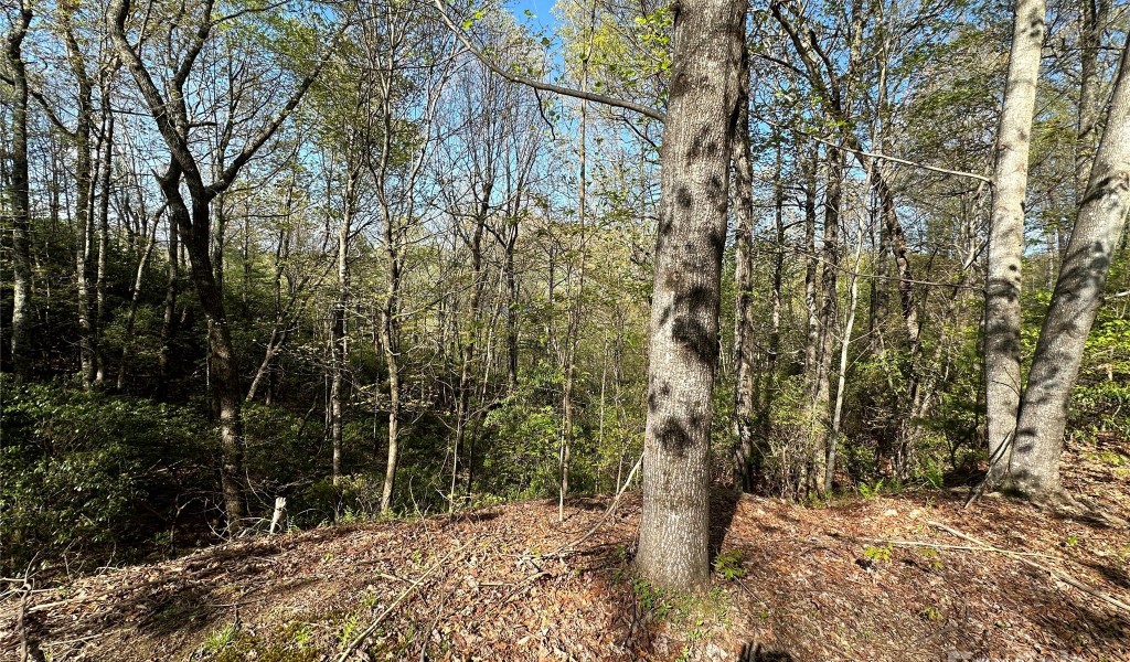 TBD Hawk Mountain Road #30, Lake Toxaway, North Carolina image 37