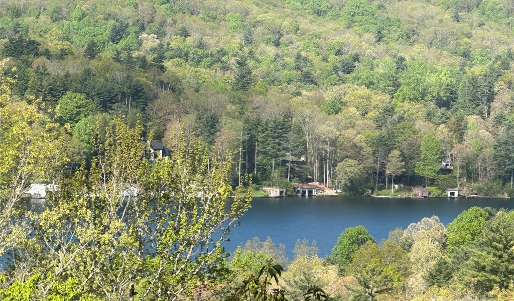 TBD Hawk Mountain Road #30, Lake Toxaway, North Carolina image 1