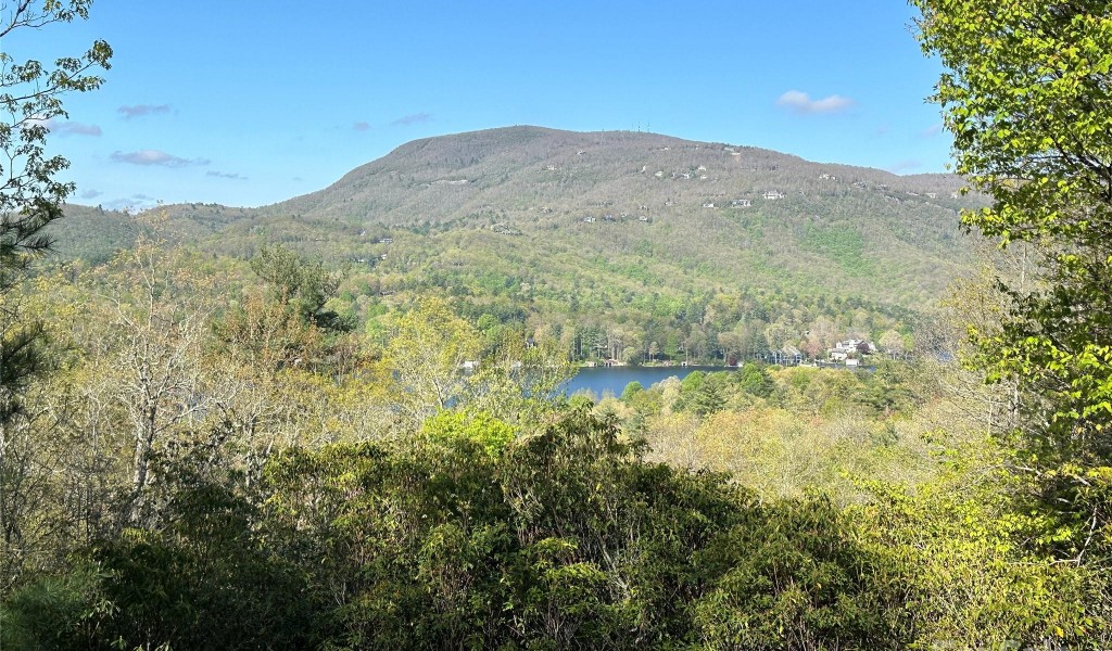 TBD Hawk Mountain Road #30, Lake Toxaway, North Carolina image 33