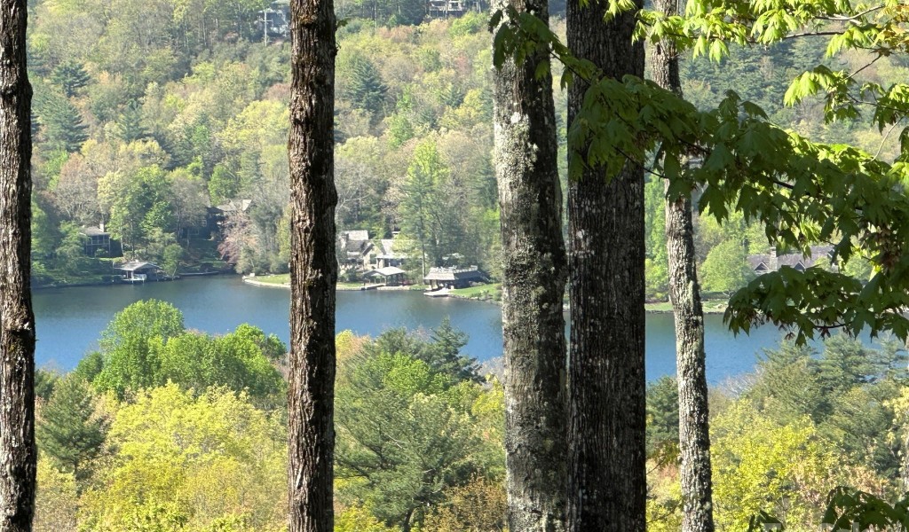 TBD Hawk Mountain Road #30, Lake Toxaway, North Carolina image 3