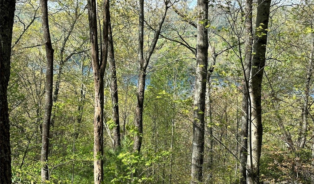 TBD Hawk Mountain Road #30, Lake Toxaway, North Carolina image 27