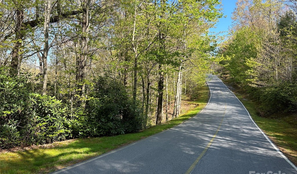 TBD Hawk Mountain Road #30, Lake Toxaway, North Carolina image 32