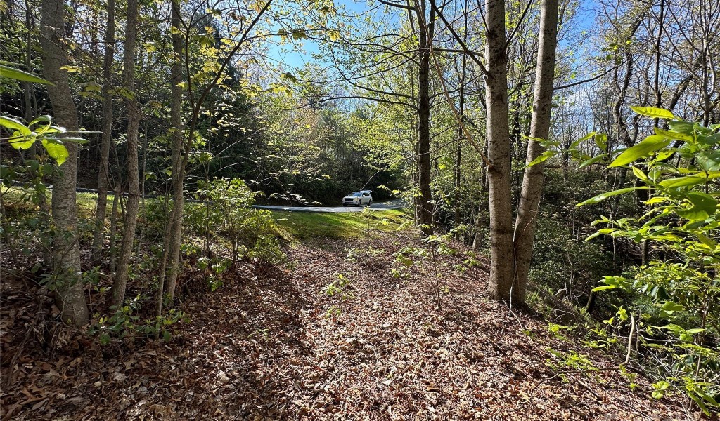 TBD Hawk Mountain Road #30, Lake Toxaway, North Carolina image 28