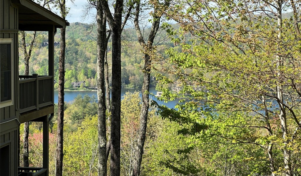 TBD Hawk Mountain Road #30, Lake Toxaway, North Carolina image 8