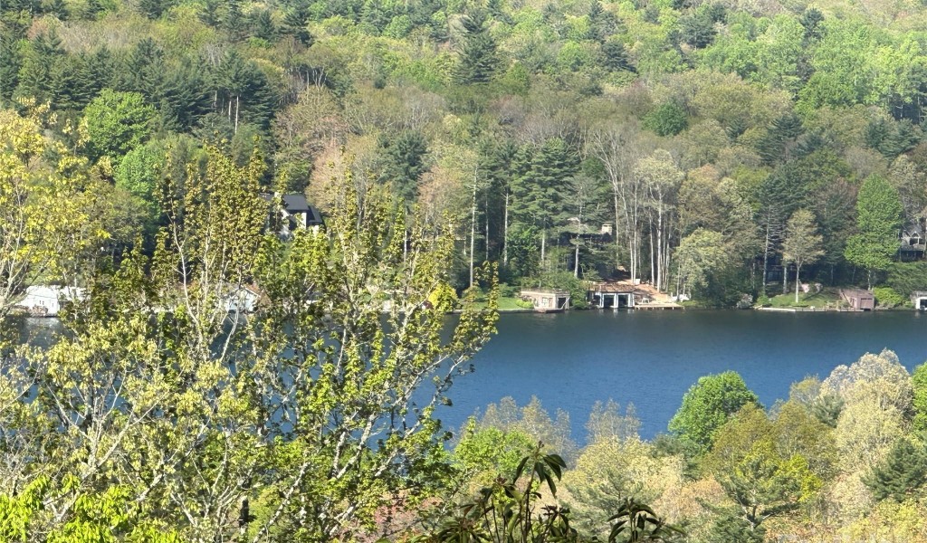 TBD Hawk Mountain Road #30, Lake Toxaway, North Carolina image 35