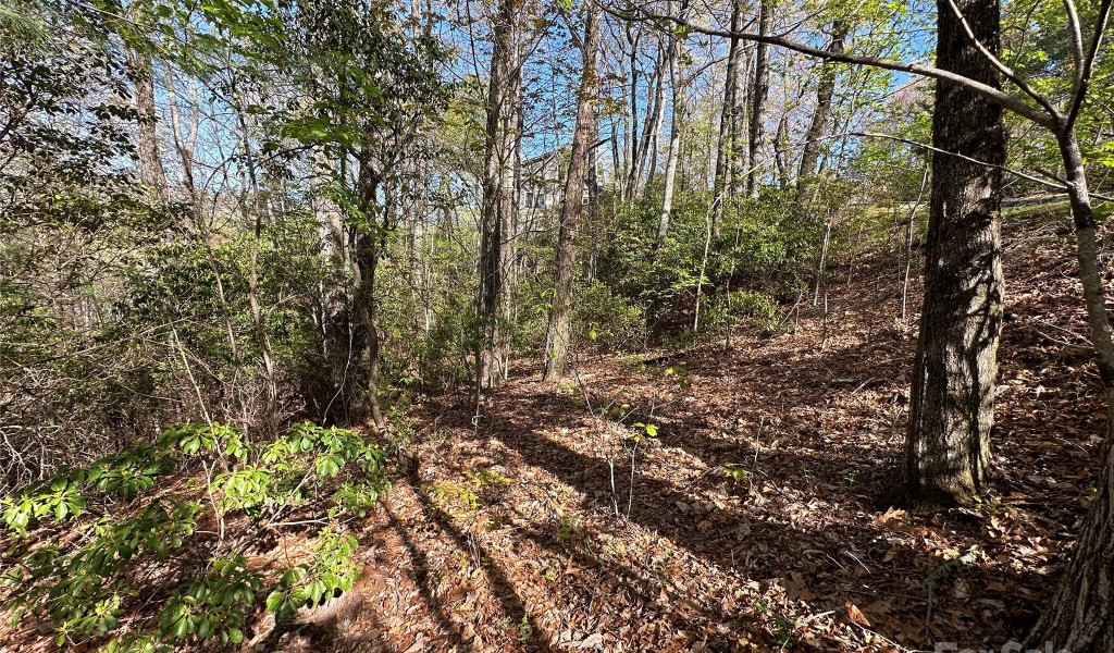 TBD Hawk Mountain Road #30, Lake Toxaway, North Carolina image 40