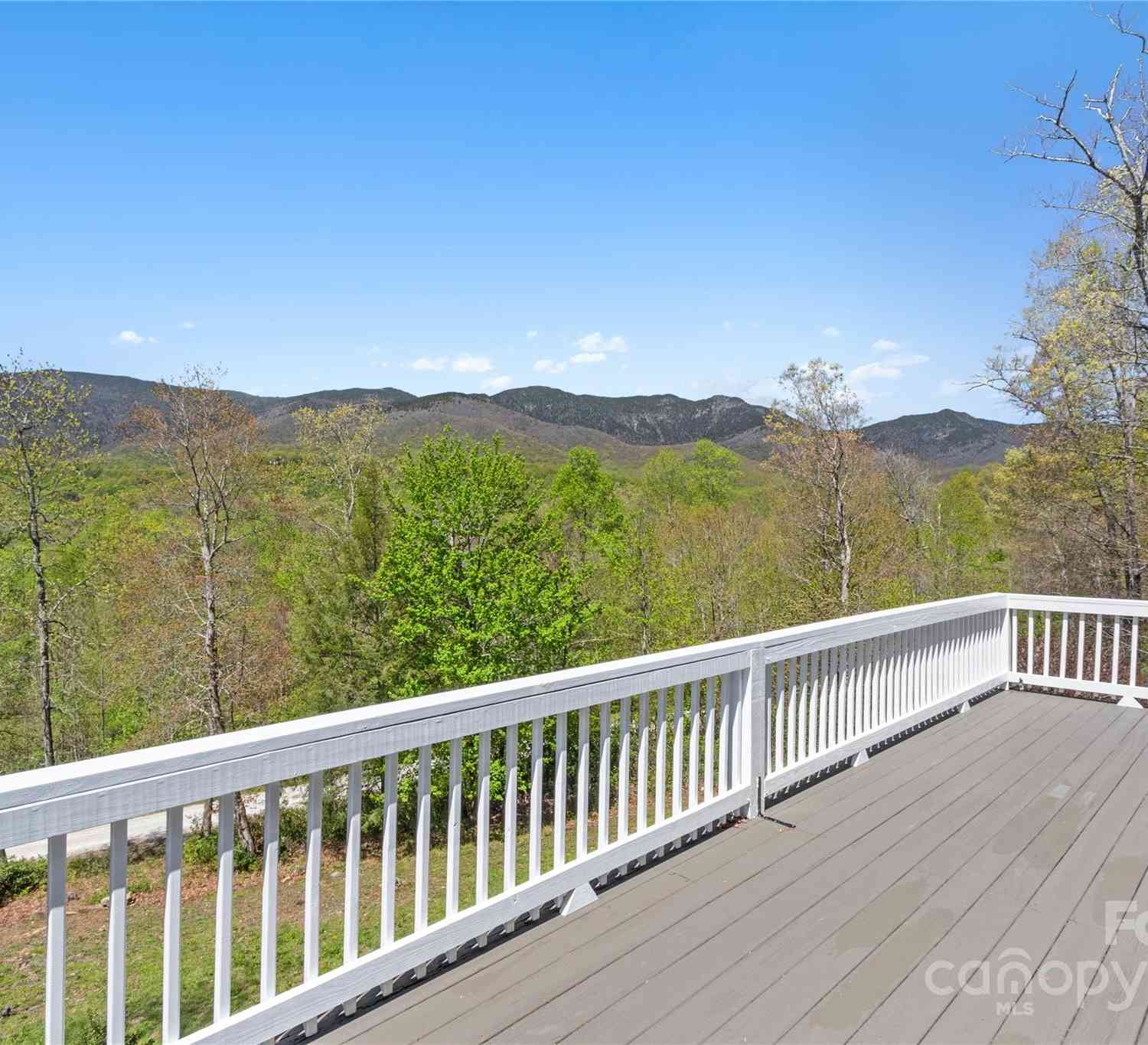 284 Mt. Mitchell Drive, Burnsville, North Carolina image 42