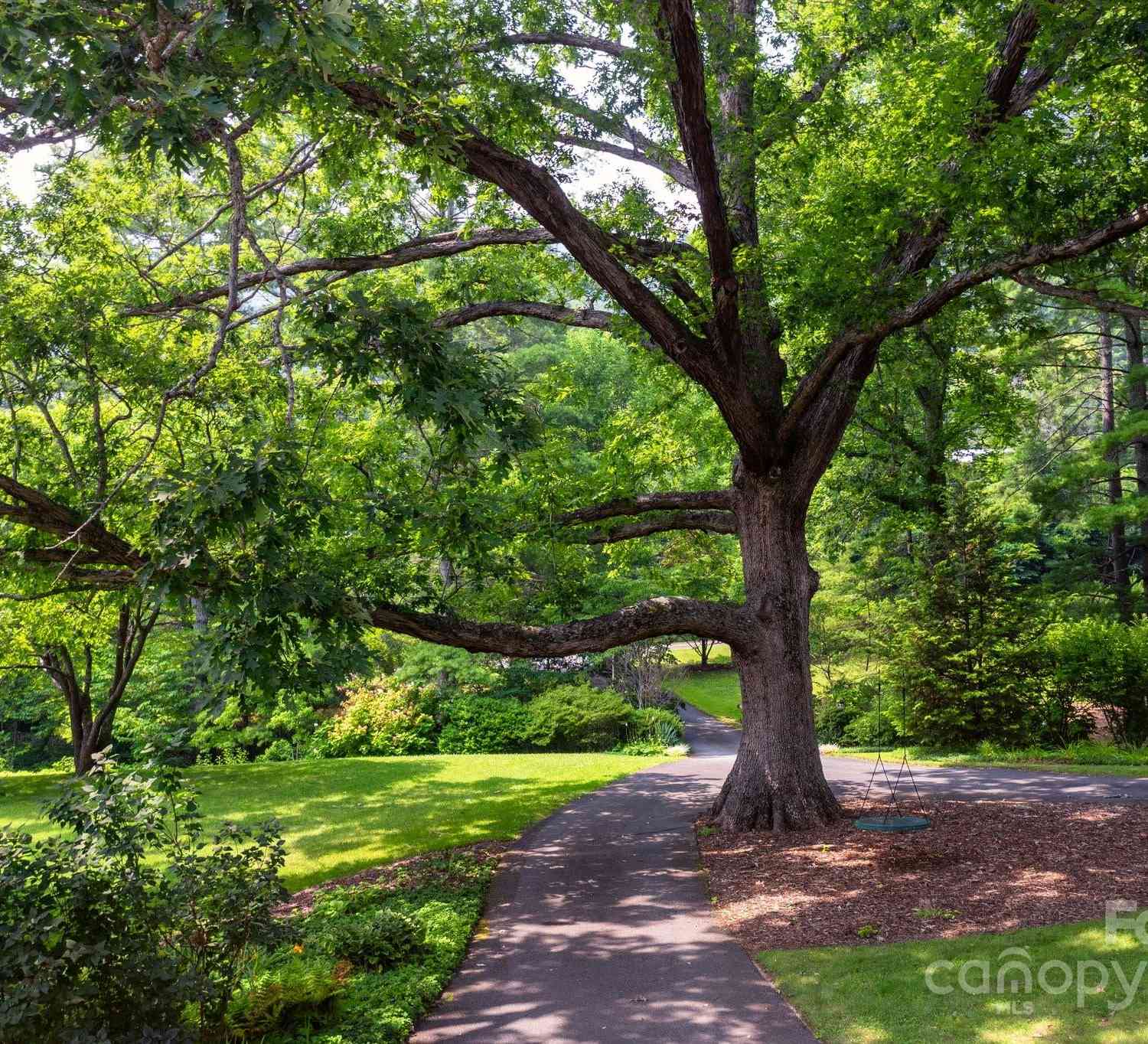 167 Lynn Cove Road, Asheville, North Carolina image 5