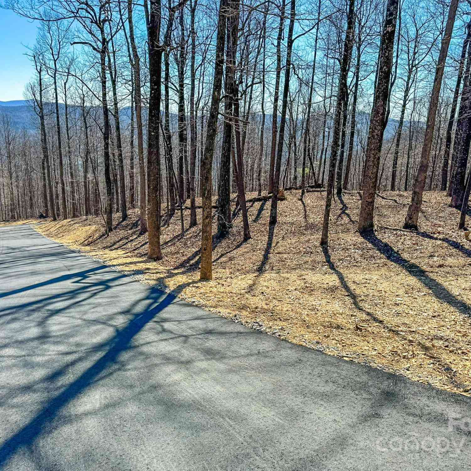 0000 Preservation View Lane #1, Flat Rock, North Carolina image 1