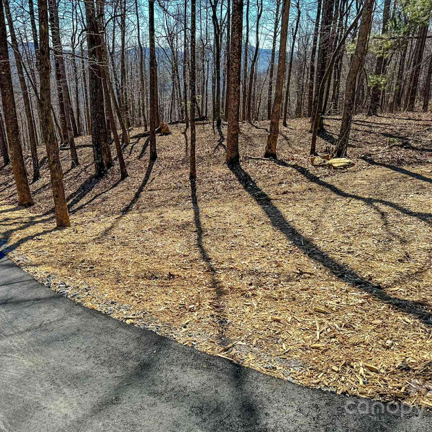 0000 Preservation View Lane #1, Flat Rock, North Carolina image 3