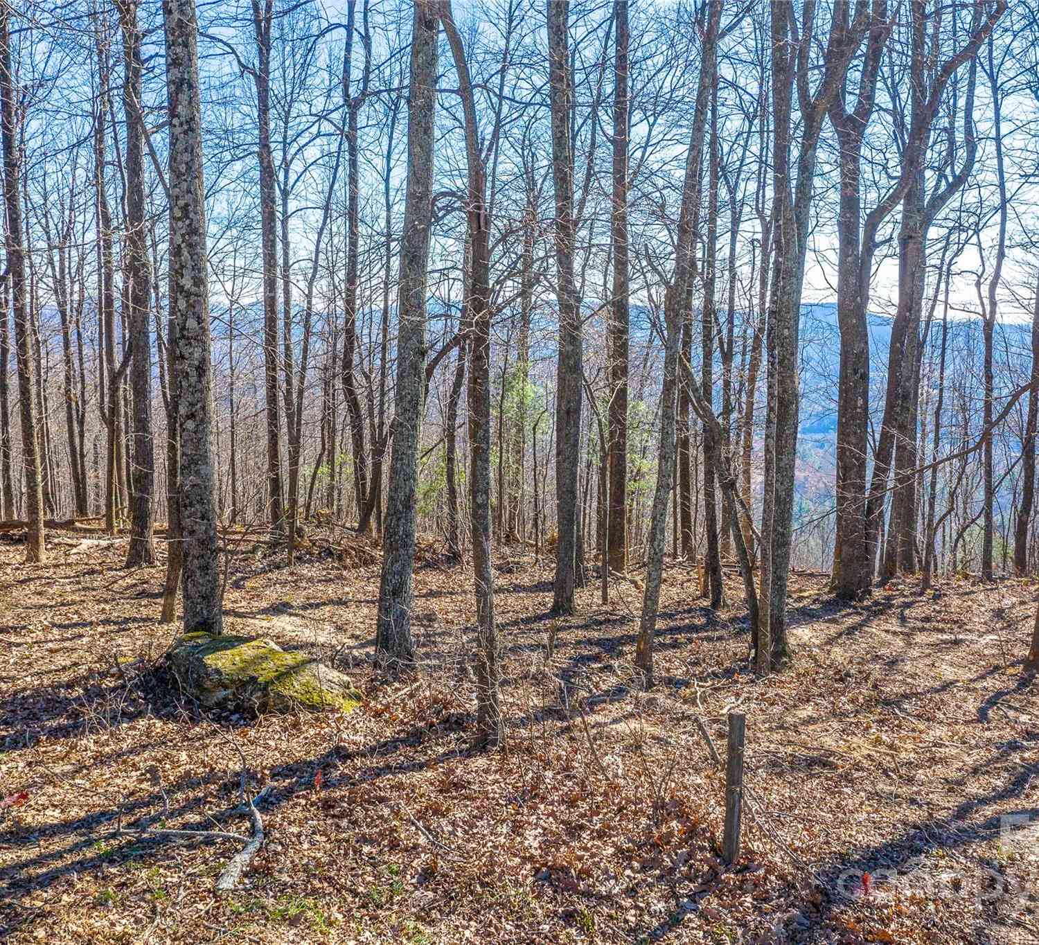 0000 Preservation View Lane #1, Flat Rock, North Carolina image 4