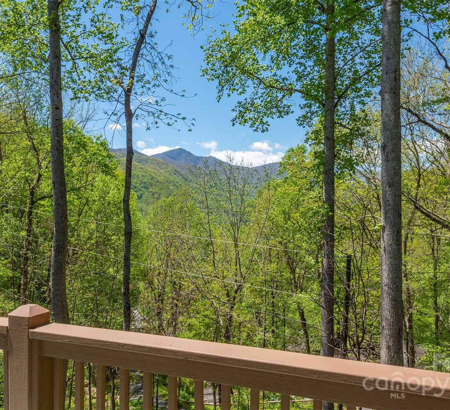 700 Cool August Heights, Waynesville, North Carolina image 34