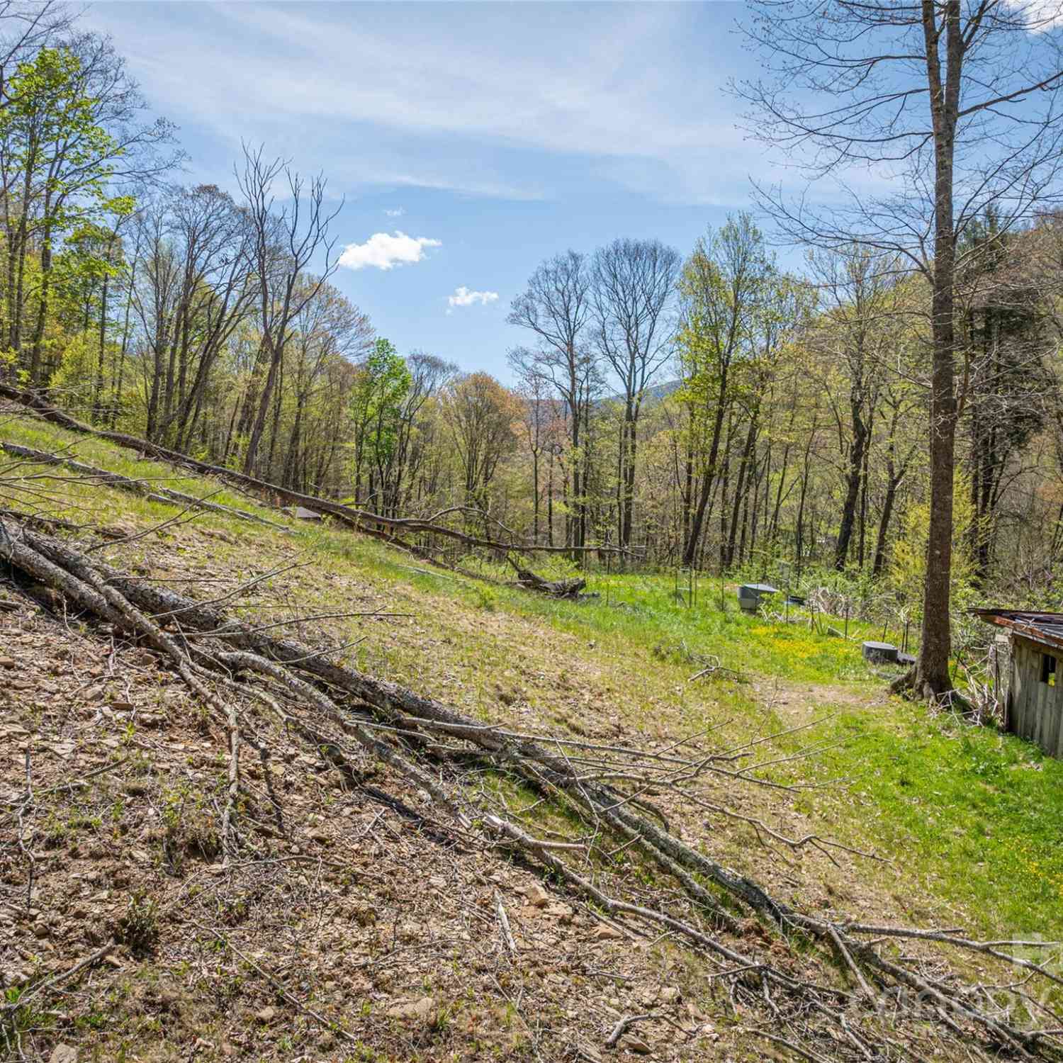 3545 Black Camp Gap Road, Maggie Valley, North Carolina image 44