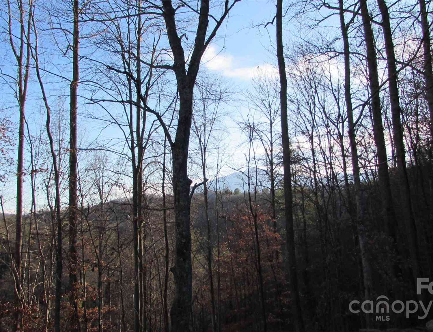 00 High Peak Drive #61, Burnsville, North Carolina image 16