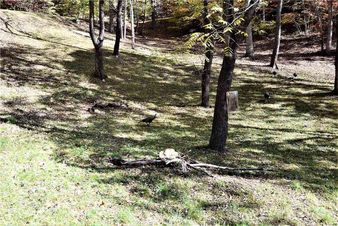 Lot 114 Kincaid Lane #114, Waynesville, North Carolina image 10