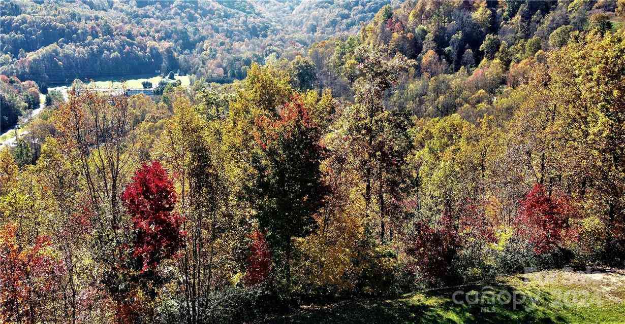 Lot 114 Kincaid Lane #114, Waynesville, North Carolina image 5