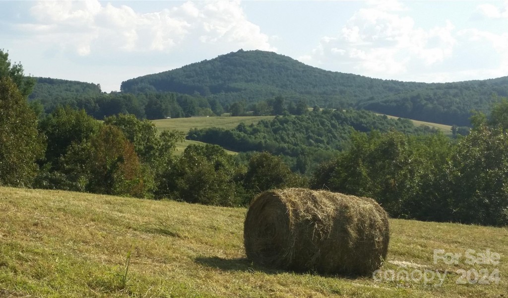 TBD Highland Drive, Ennice, North Carolina image 1