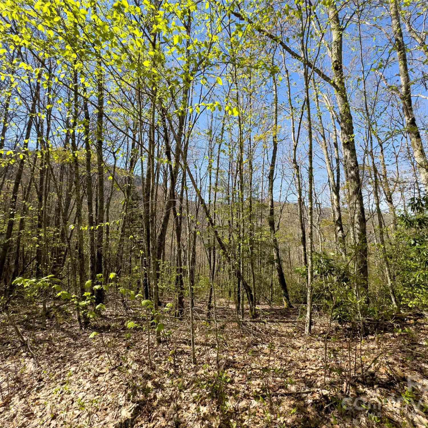 Lot 80 Shangri Lane #80, Qualla, North Carolina image 6