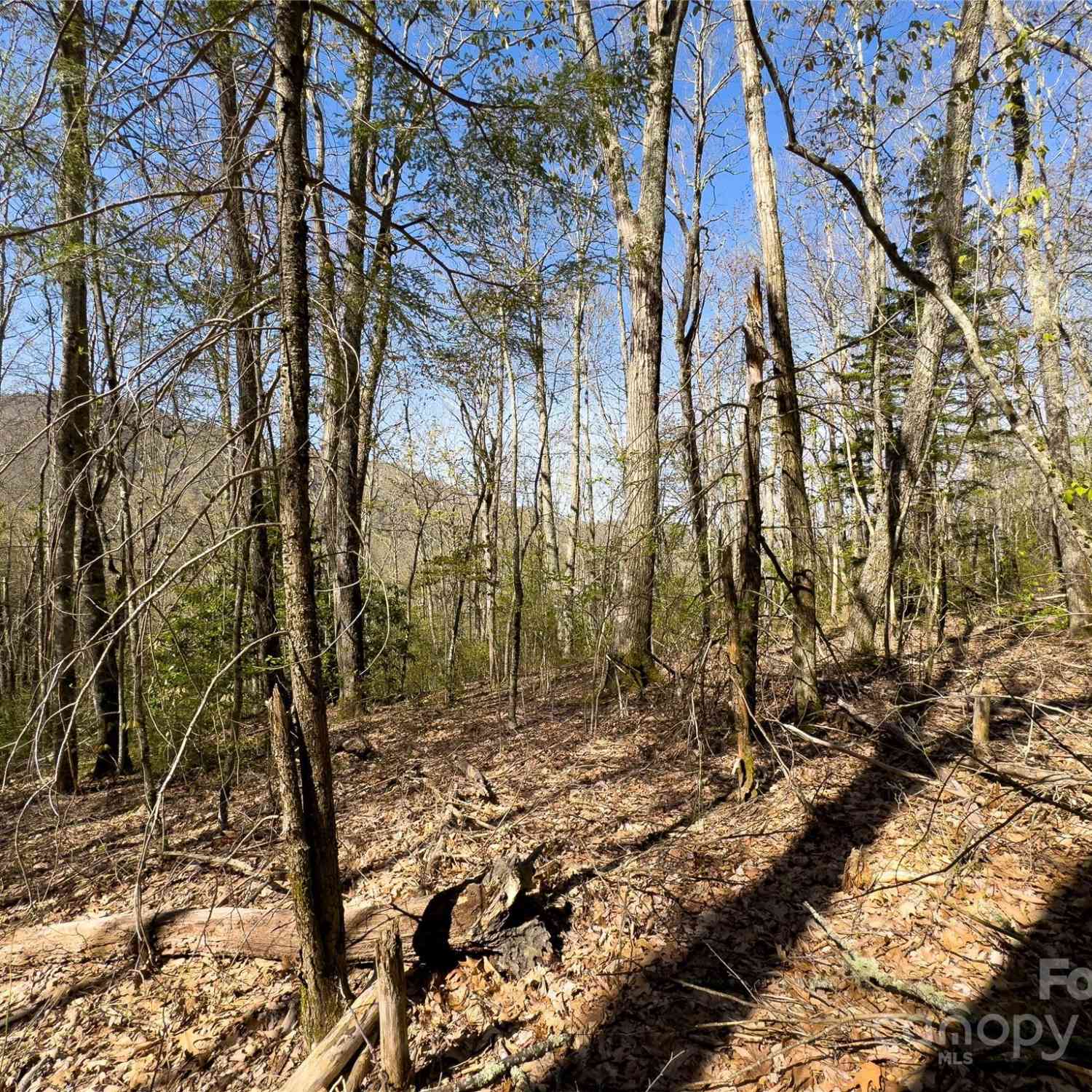 Lot 80 Shangri Lane #80, Qualla, North Carolina image 16