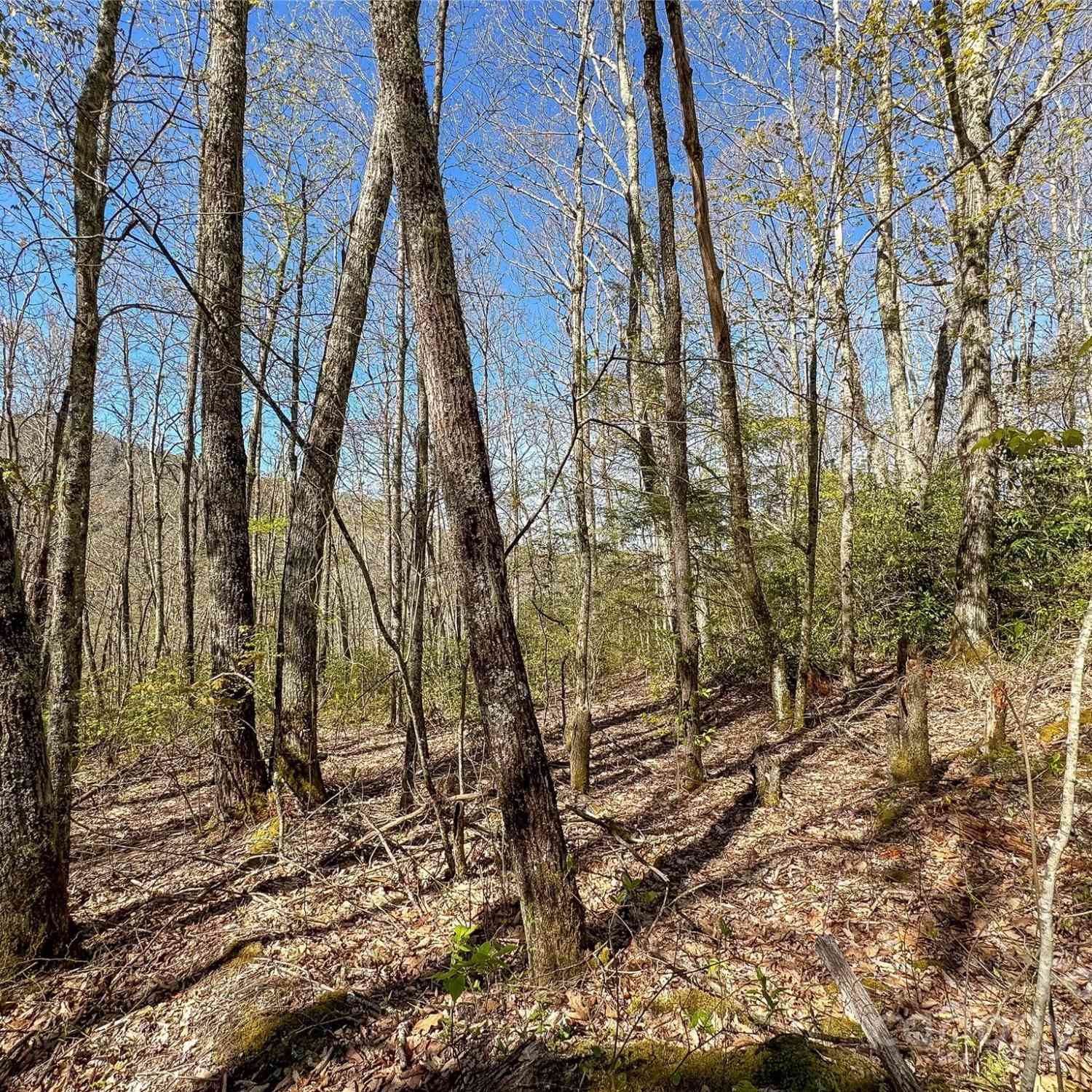 Lot 80 Shangri Lane #80, Qualla, North Carolina image 9