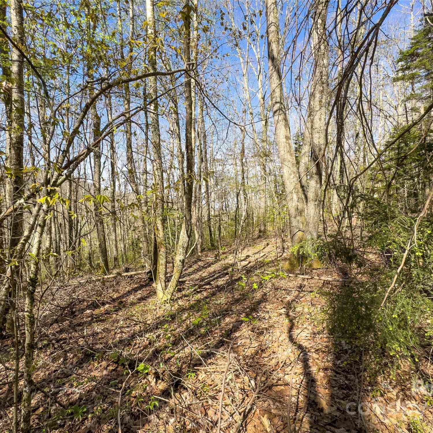 Lot 80 Shangri Lane #80, Qualla, North Carolina image 21