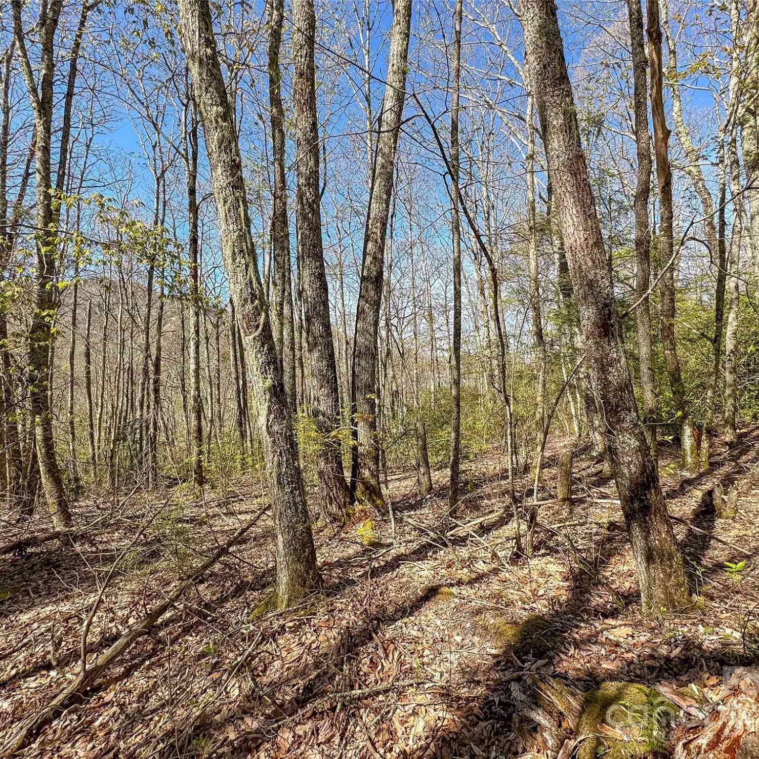 Lot 80 Shangri Lane #80, Qualla, North Carolina image 12