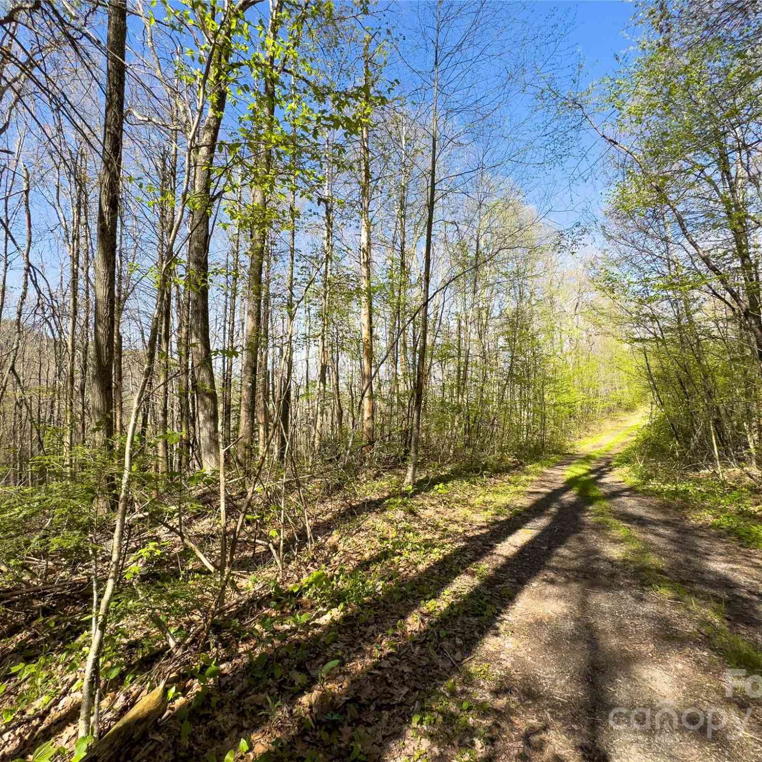 Lot 80 Shangri Lane #80, Qualla, North Carolina image 22