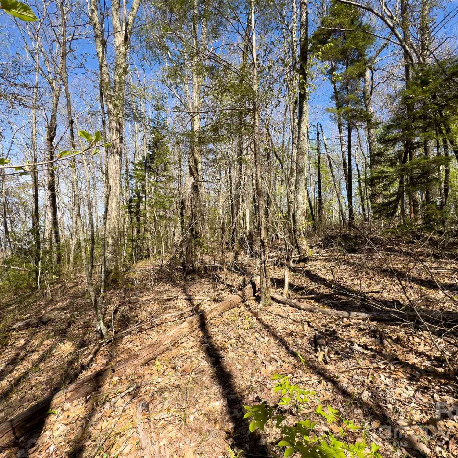 Lot 80 Shangri Lane #80, Qualla, North Carolina image 17