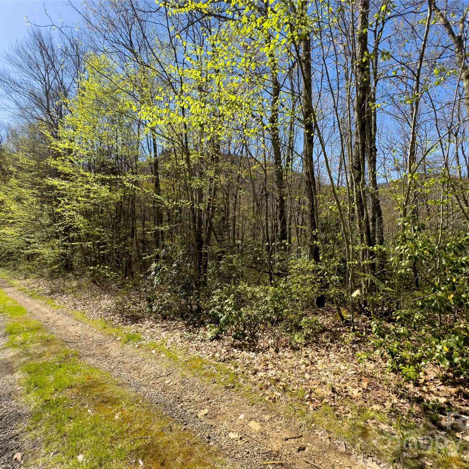 Lot 80 Shangri Lane #80, Qualla, North Carolina image 7