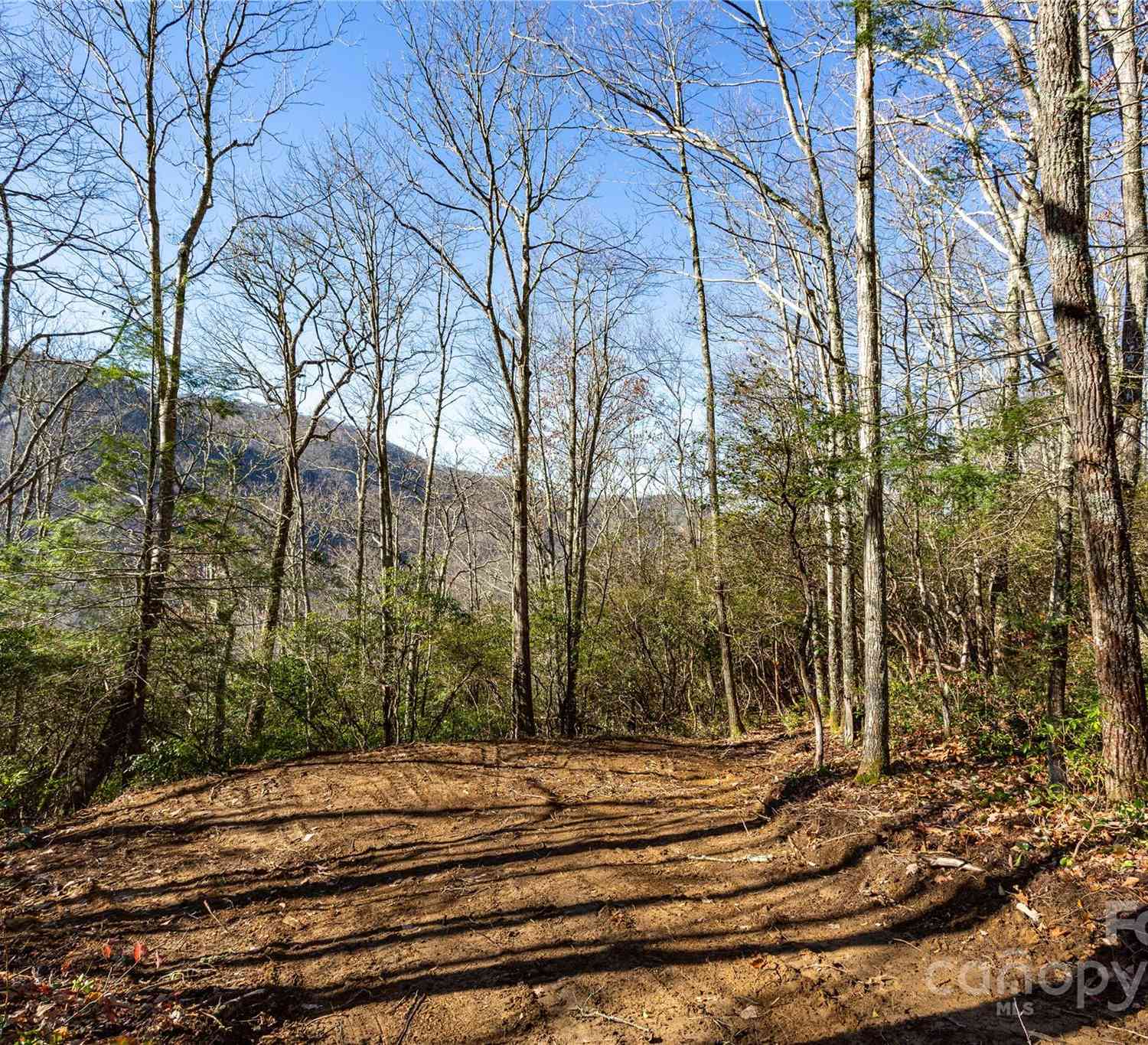 Lot 80/81 Shangri Lane #80/81, Qualla, North Carolina image 4