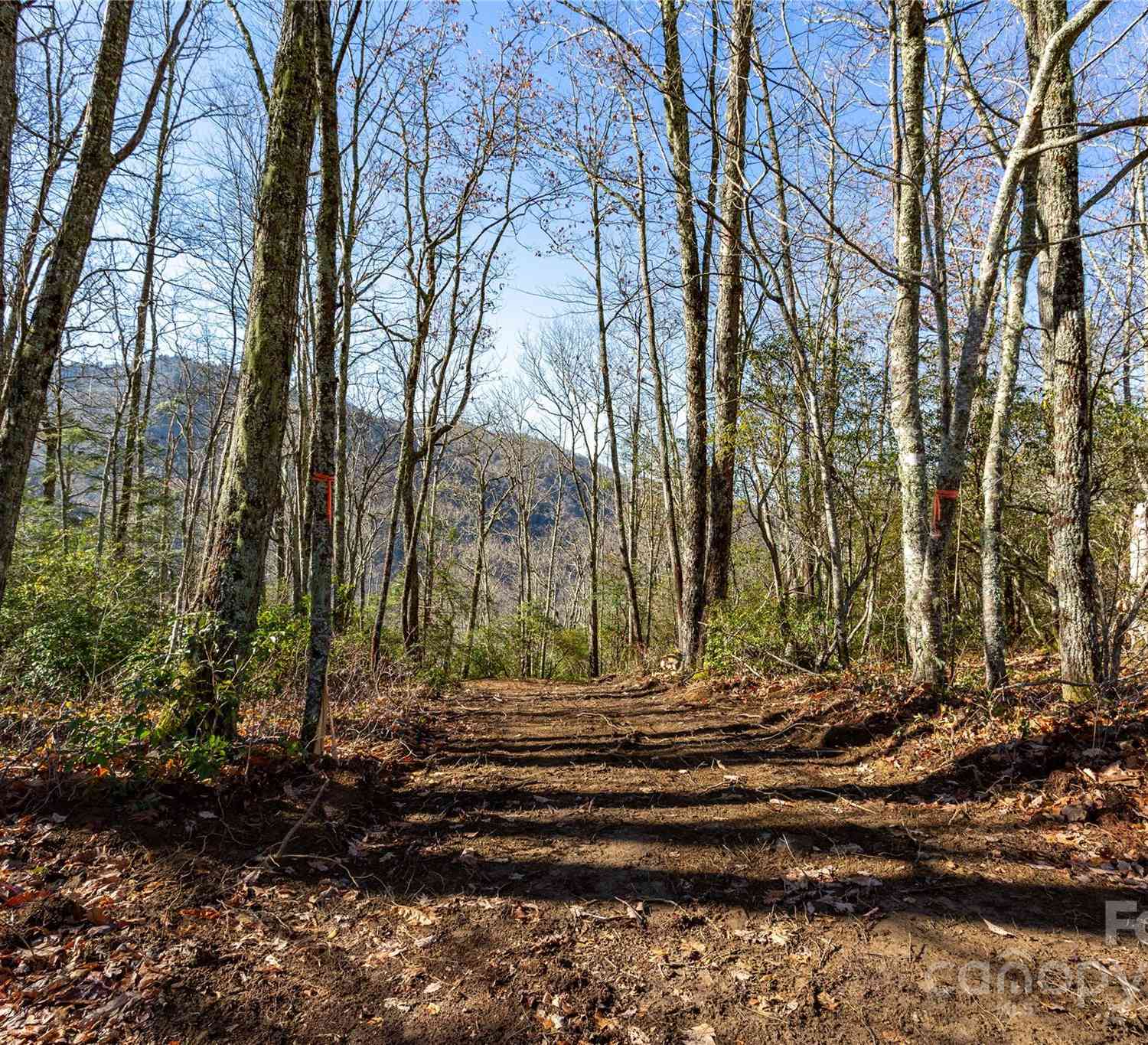 Lot 80/81 Shangri Lane #80/81, Qualla, North Carolina image 5