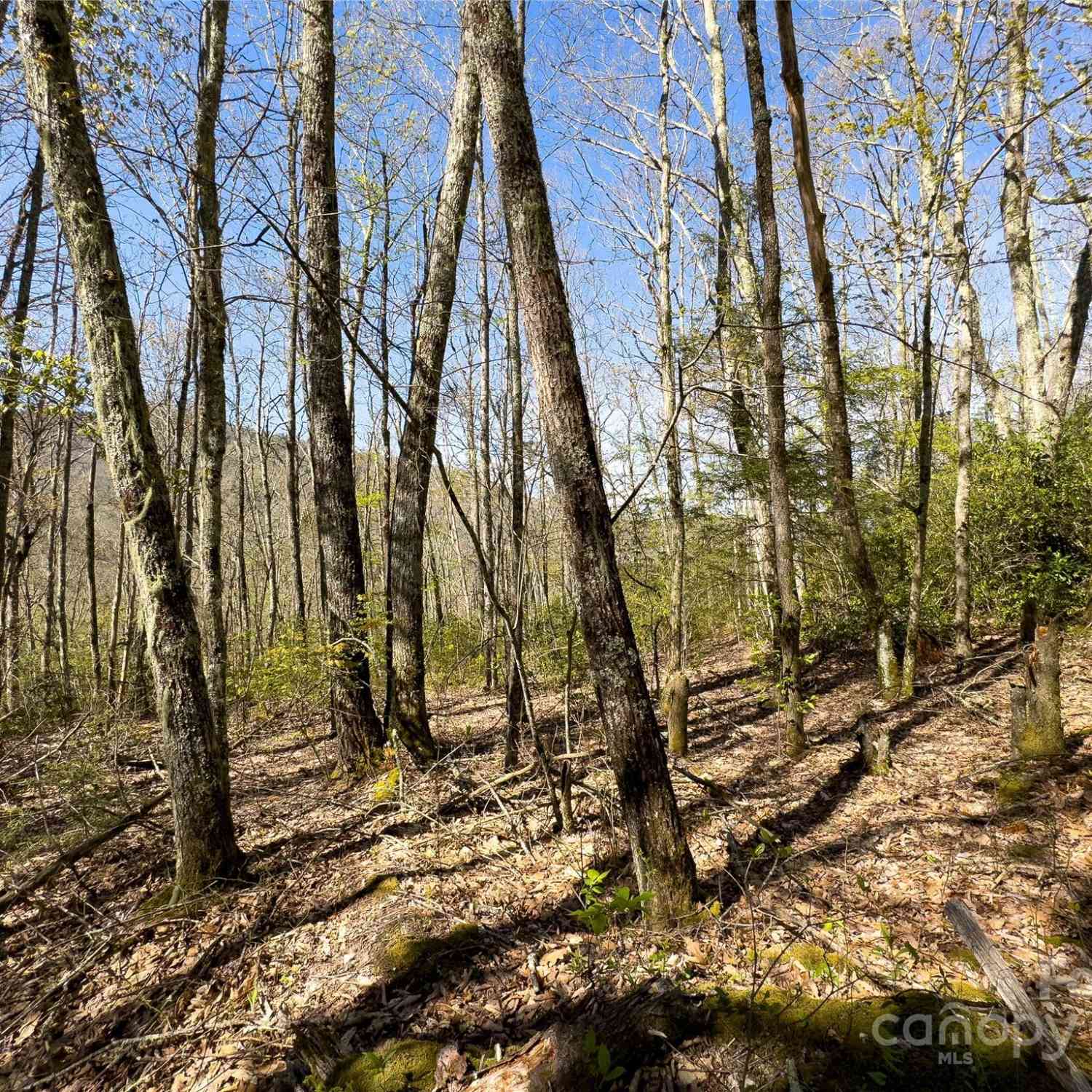 Lot 80/81 Shangri Lane #80/81, Qualla, North Carolina image 14