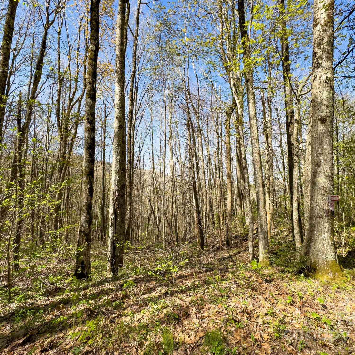 Lot 80/81 Shangri Lane #80/81, Qualla, North Carolina image 25