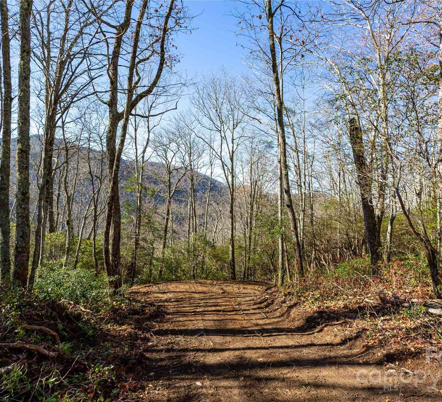 Lot 80/81 Shangri Lane #80/81, Qualla, North Carolina image 1