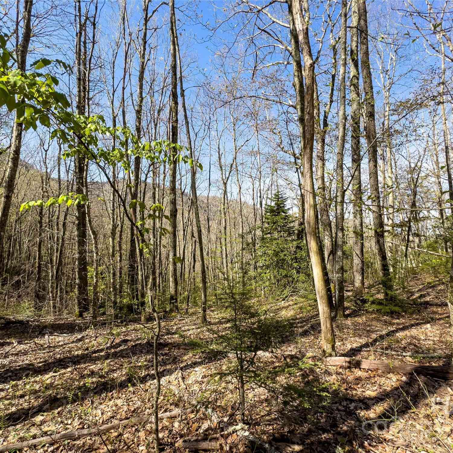 Lot 80/81 Shangri Lane #80/81, Qualla, North Carolina image 23