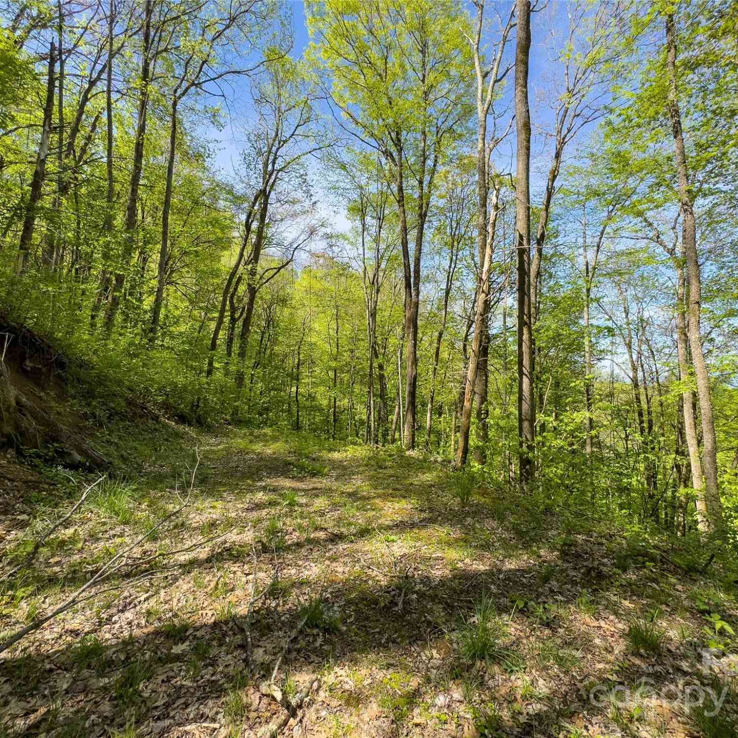 Lot 74 Black Rock Road #74, Qualla, North Carolina image 18