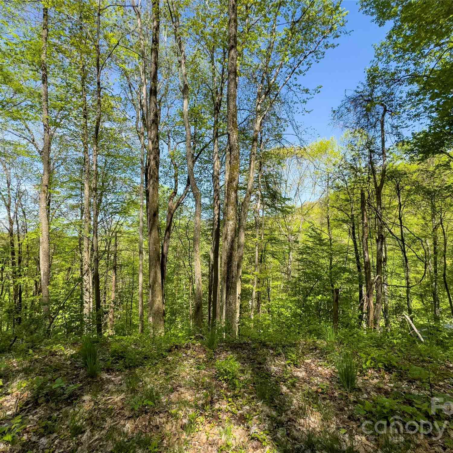 Lot 74 Black Rock Road #74, Qualla, North Carolina image 19