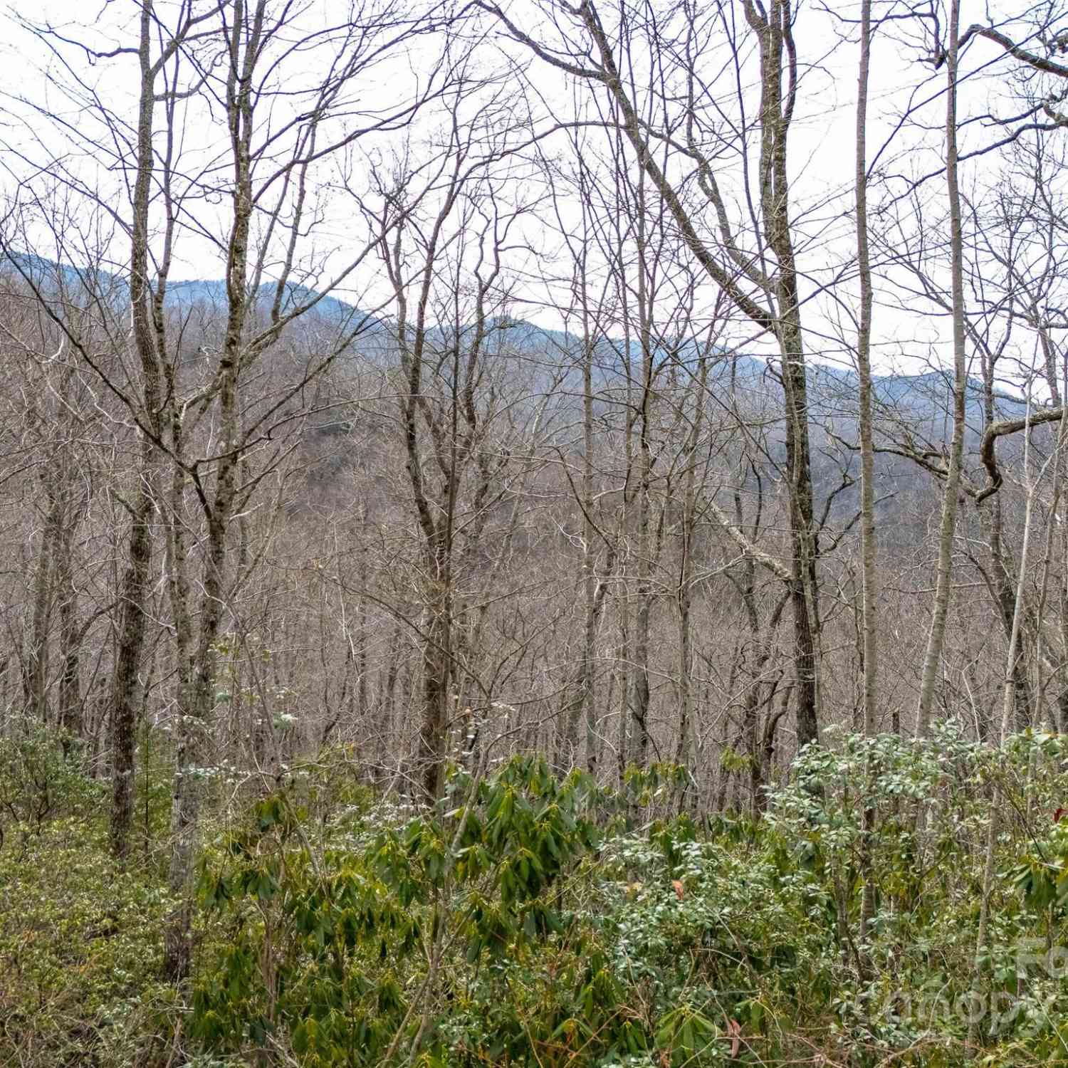 Lot 111 Cranberry Creek Road, Maggie Valley, North Carolina image 9