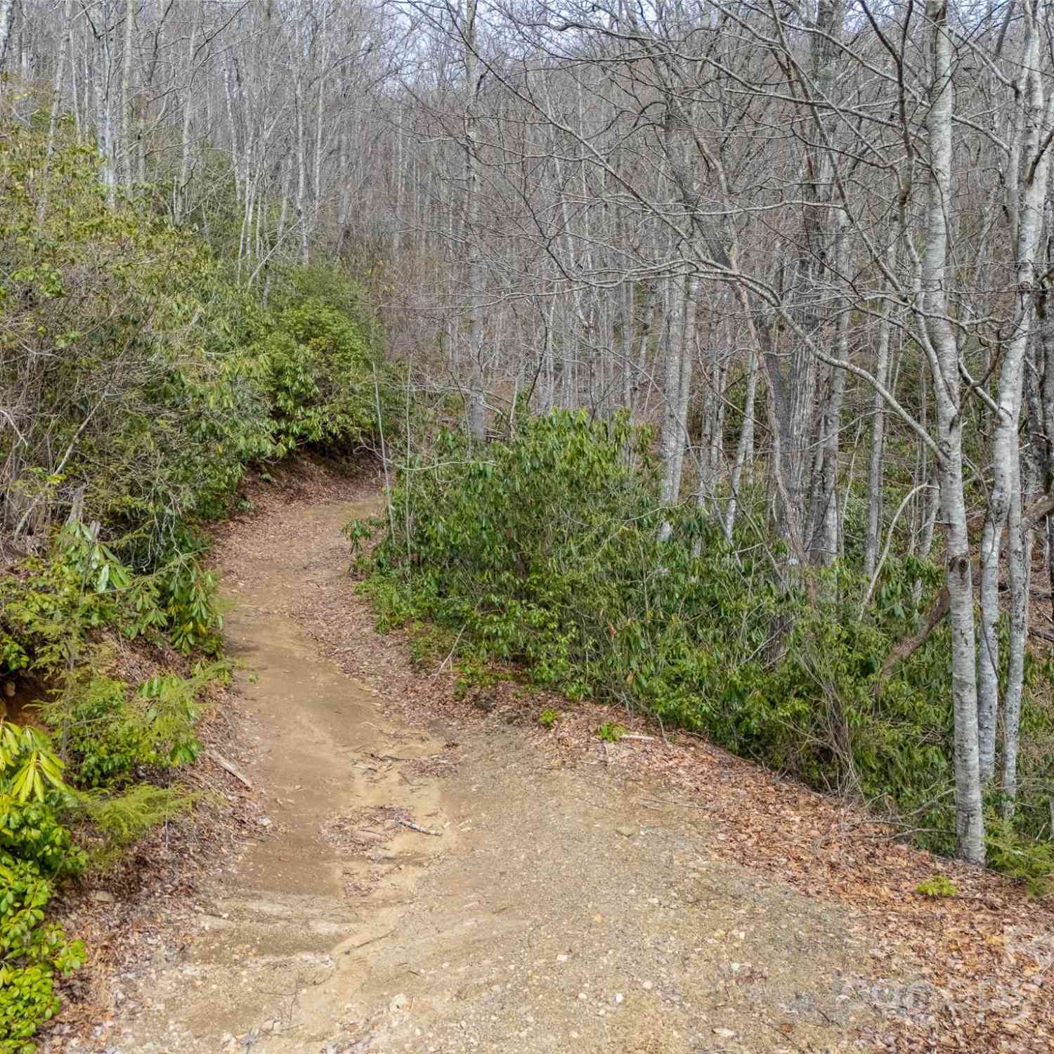 Lot 111 Cranberry Creek Road, Maggie Valley, North Carolina image 7