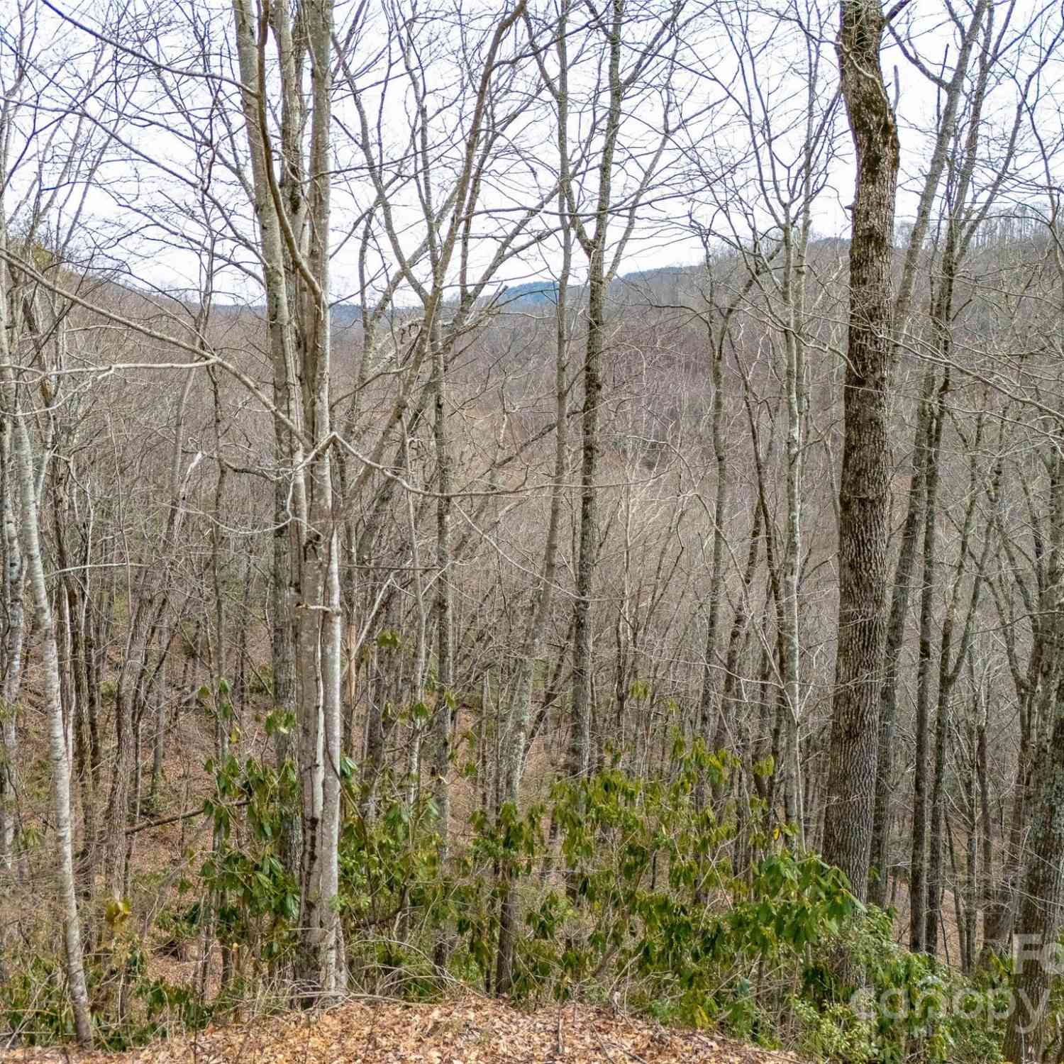 Lot 111 Cranberry Creek Road, Maggie Valley, North Carolina image 8