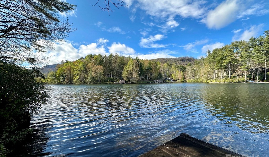 L83 North Club Boulevard #83, Lake Toxaway, North Carolina image 3