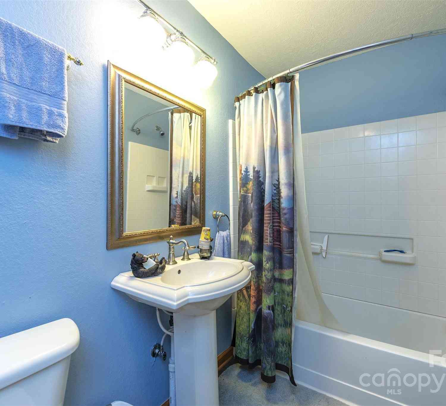 574 Appaloosa Trail, Waynesville, North Carolina image 28