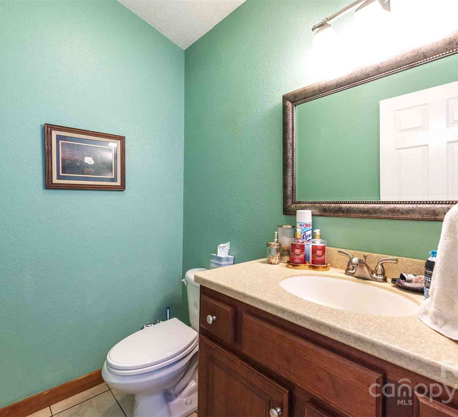 574 Appaloosa Trail, Waynesville, North Carolina image 11