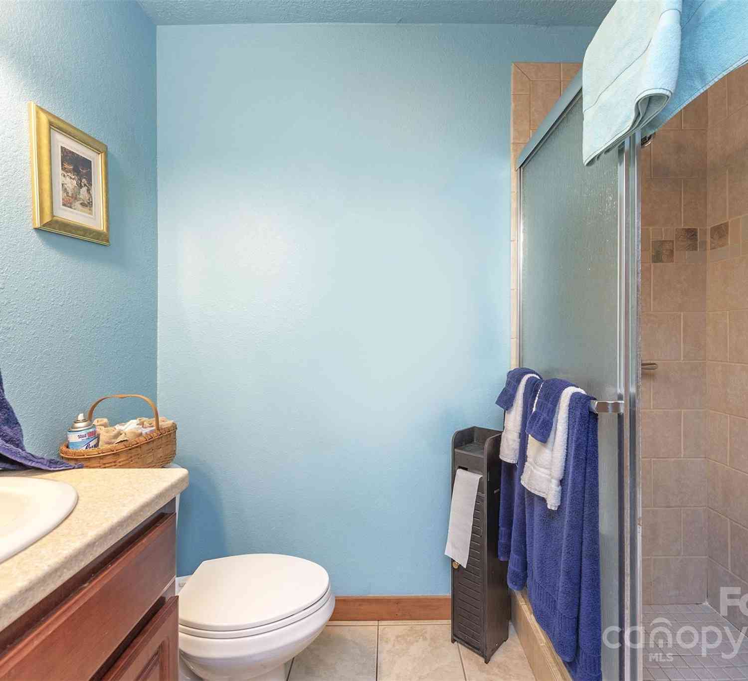 574 Appaloosa Trail, Waynesville, North Carolina image 17