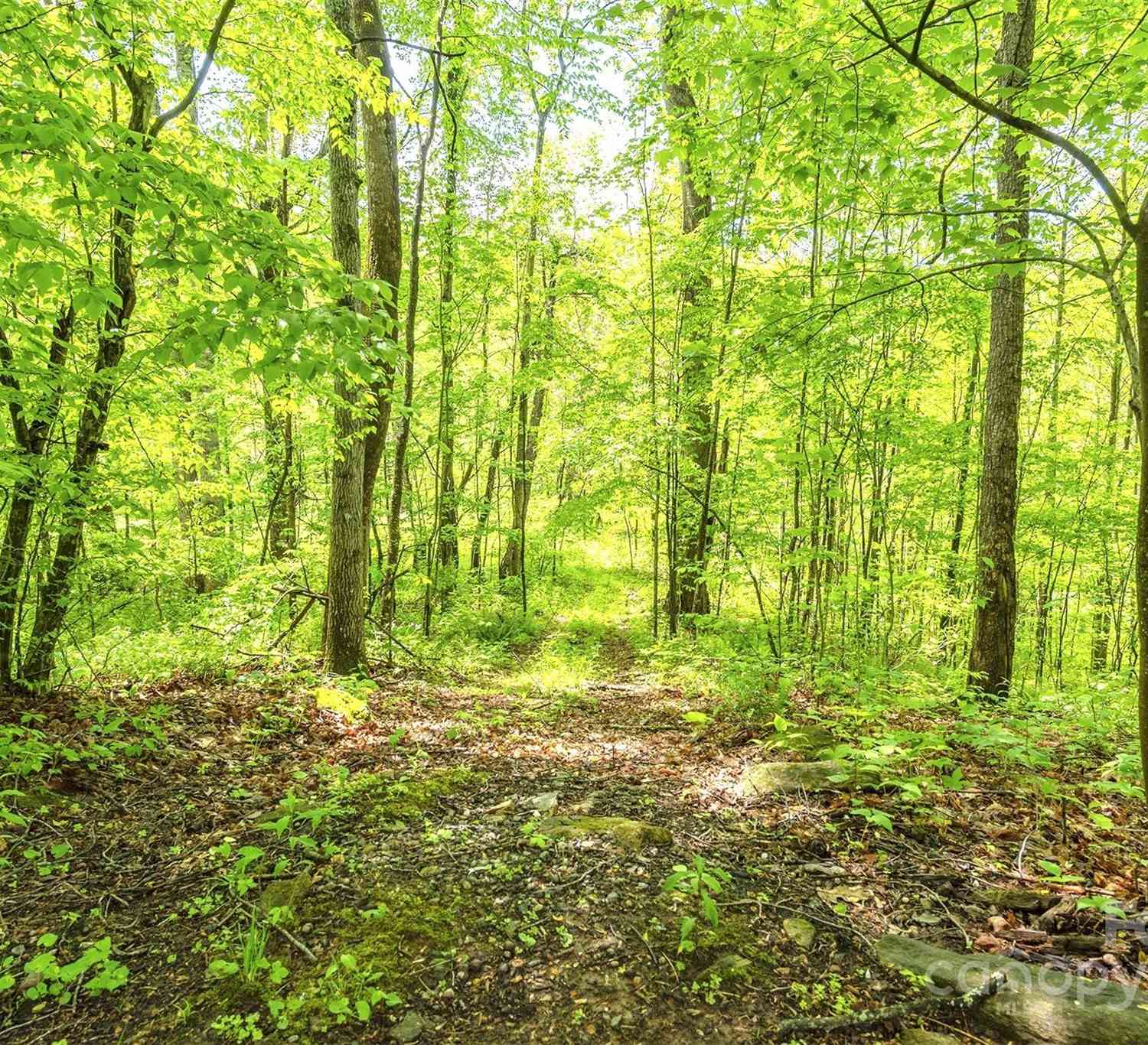 574 Appaloosa Trail, Waynesville, North Carolina image 42