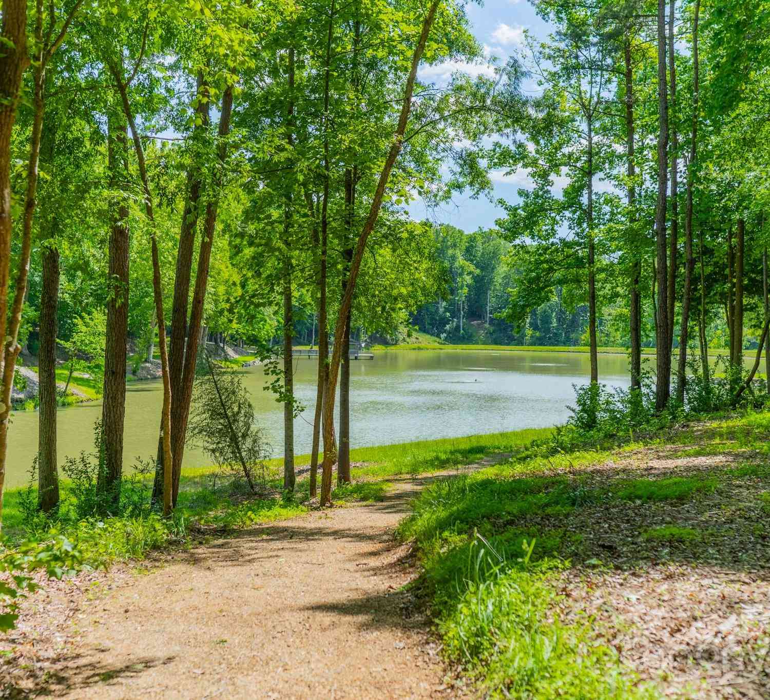 1C Ventosa Drive, Denver, North Carolina image 10