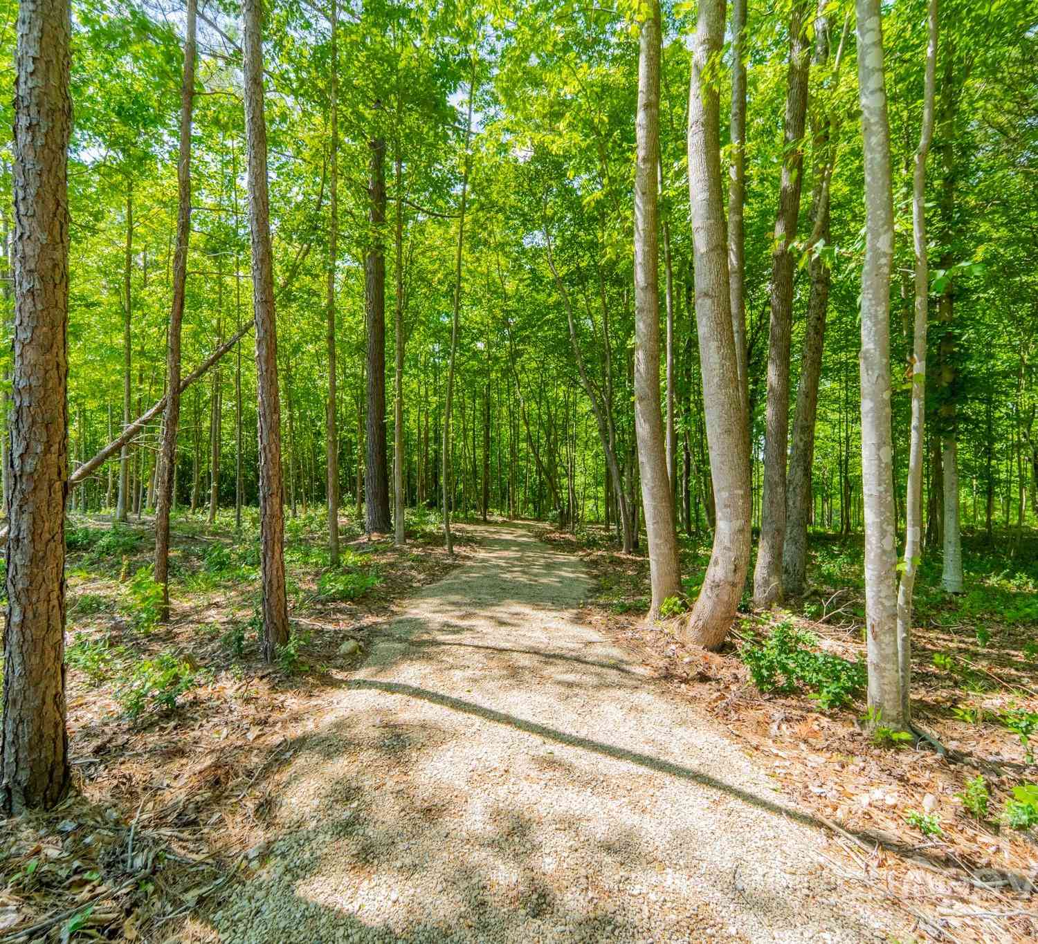 4B Ventosa Drive, Denver, North Carolina image 10