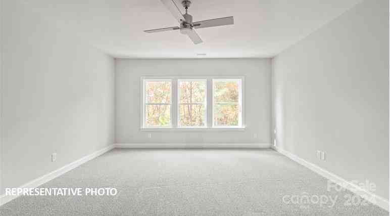 10536 Audubon Ridge Drive #22, Cornelius, North Carolina image 13