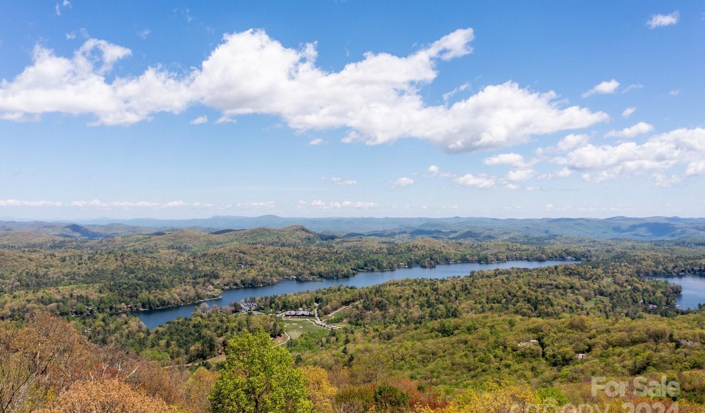 1052 Toxaway Drive, Lake Toxaway, North Carolina image 40