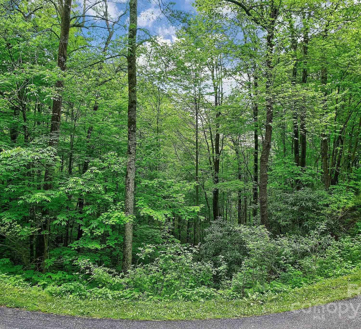 Lot 119 Davey Crockett Drive, Maggie Valley, North Carolina image 5